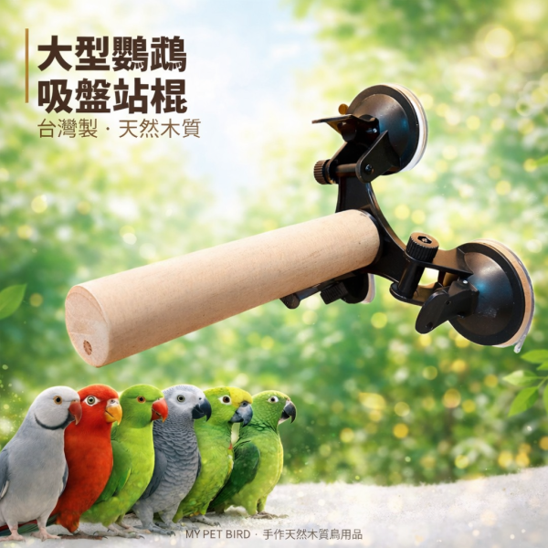 W803E 大型鸚鵡吸盤站棍 吸盤式鳥站棍
鳥類活動站棍
吸盤式鳥類觀察器材
室內鳥類站棍
室外鳥類站棍
適用於鳥類的吸盤站棍