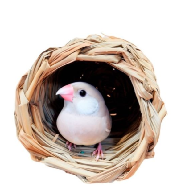 天然草窩 草編窩 鳥巢 /文鳥窩/無棉繩鳥窩 草窩
鸚鵡玩具 寵物文創 鳥玩具