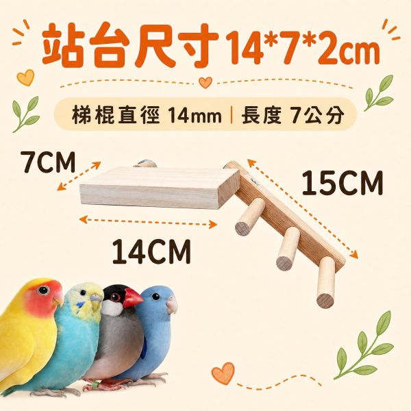 W718 提升鳥籠體驗！創意無限的雙向梯產品 W718雙向爬梯, 鸚鵡爬梯推薦, 鳥用梯子, 小型鳥攀爬梯, 天然實木鳥梯, 文鳥梯子, 鳥籠空間規劃, 鳥用攀爬玩具, MY PET BIRD, 台灣製鳥用品