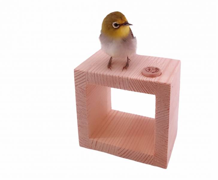 MY PET BIRD  小鸚鵡鑽桶訓練 鸚鵡飼養技巧
鸚鵡品種
鸚鵡飲食
鸚鵡訓練
鸚鵡健康
迷你站架
鸚鵡玩具
鸚鵡行為
鸚鵡攝養
鸚鵡社交化
鸚鵡照顧指南
鸚鵡疾病預防
輕巧時尚站架
鸚鵡活動
鸚鵡心理健康
鸚鵡繁殖
鸚鵡價格
