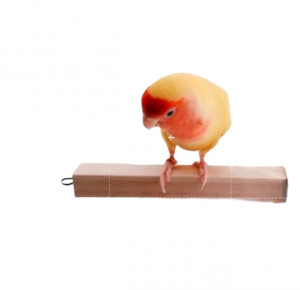 MY PET BIRD 松木方形站棍 棲木 鸚鵡站棍
鳥類站立架
寵物站立訓練器材
鸚鵡活動訓練棒
可調節高度鳥類站立器材
天然木鳥類站立架
無毒寵物訓練玩具
多功能鸚鵡訓練用品
適合鸚鵡站立練習的玩具