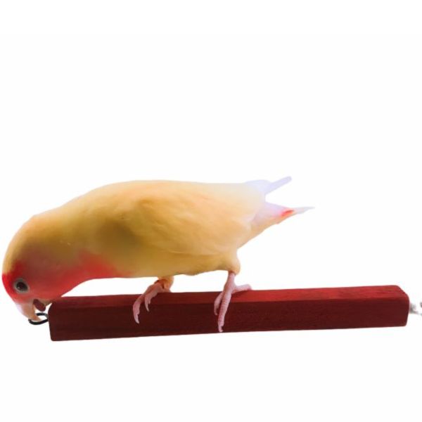 MY PET BIRD 紅花梨方棍鳥站棍 寵物文創,鳥玩具,鸚鵡玩具,文鳥,玄鳳,和尚,虎皮,綠繡眼,凱克,寵物用品,寵物玩具,咬物