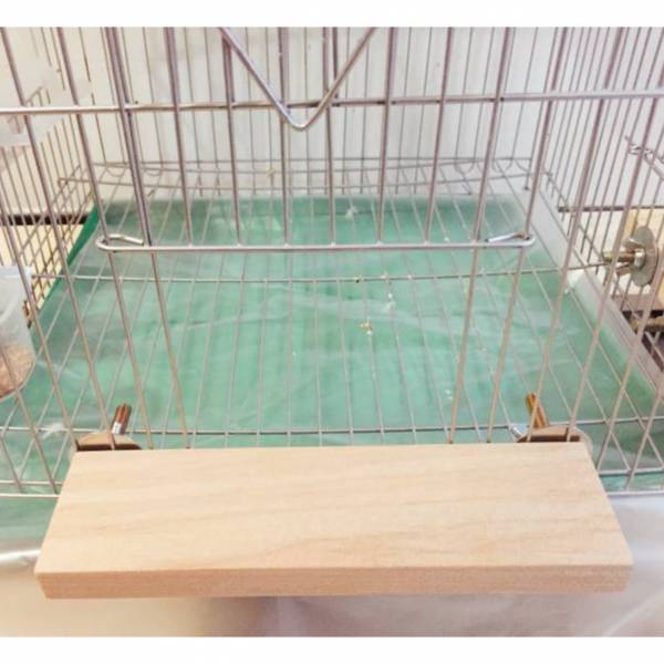 MY PET BIRD 鳥籠門前站台 鸚鵡站台
鸚鵡活動台
鳥類休息台
寵物休息訓練架
可調節高度鳥類休息台
天然木鳥類站立架
無毒寵物訓練玩具
多功能鸚鵡訓練用品
適合鸚鵡休息和站立練習的玩具