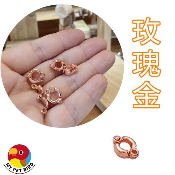 MY PET BIRD 鸚鵡外出繩 /腳環 鸚鵡腳環
鸚鵡識別環
鸚鵡配戴腳環
個性化鸚鵡腳環
鸚鵡保護環
鸚鵡識別工具
鸚鵡腳環配件
鸚鵡識別標記
鸚鵡腳環尺寸調節
鸚鵡腳環購買