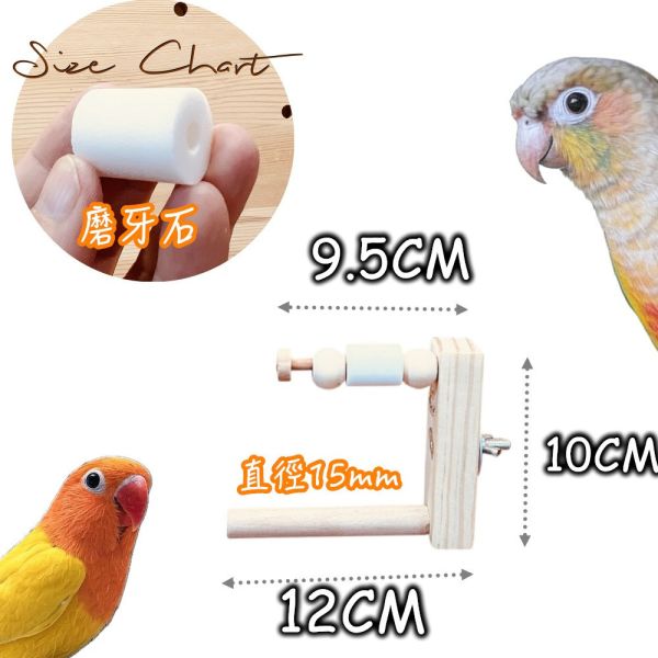 W873 鳥寶解悶首選 | 磨牙玩具 鳥用鏡子、鳥類玩具、視覺刺激、鳥類娛樂、互動玩具、心理刺激、社交模擬、健康心態、寵物鳥、愉悅體驗、愛護鳥類、實用產品