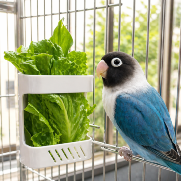 Z073B  鸚鵡蔬果籃/多功能寵物食盒 鳥類果蔬籃
鳥兒食物供應籃
鳥類水果蔬菜器皿
新鮮食物籃子
鳥類營養補充器
鳥用食物盛放器
天然鳥類飲食工具
健康鳥類食物籃
方便鳥類飲食器具
鳥類食物分配容器