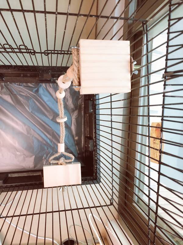 W721 空中纜繩 鸚鵡站台
鸚鵡活動台
鳥類休息台
寵物休息訓練架
可調節高度鳥類休息台
天然木鳥類站立架
無毒寵物訓練玩具
多功能鸚鵡訓練用品
適合鸚鵡休息和站立練習的玩具