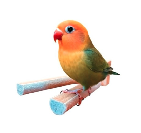 w809c 半圈磨爪延伸站棍 鳥用磨爪站棍
鳥類爪磨石
鳥類磨爪玩具
鳥用爪磨設備
鳥類爪磨訓練工具
鳥類磨爪棒
鳥類爪磨架
鳥爪保健產品
鳥類磨爪支架
鳥類爪磨棒