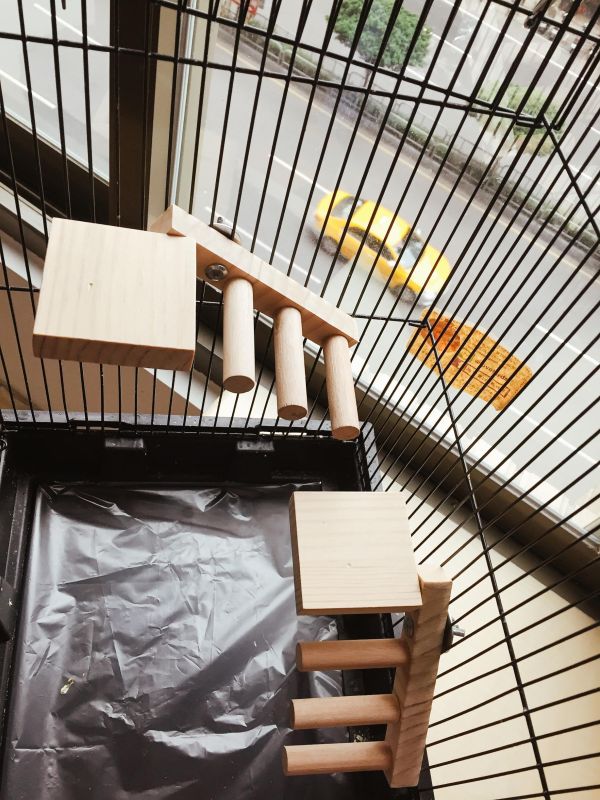 w718E 創意無限的雙向梯產品｜中型鸚鵡 鳥用梯子
小型鳥用梯子
鳥類攀爬梯
鳥籠玩具
天然竹製鳥用梯子
鳥類運動訓練用品
安全可靠鳥用梯子
易於安裝的鳥用梯子
適用於不同大小的鳥籠
高品質鳥用梯子