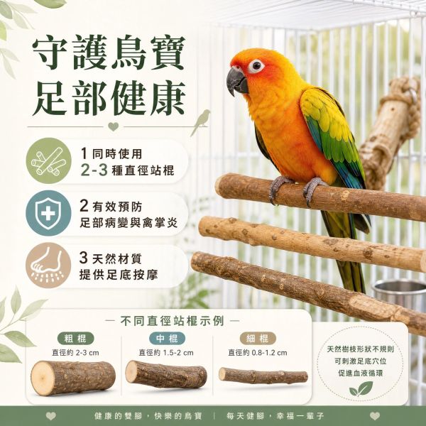 199免運 鸚鵡站台
鸚鵡活動台
鳥類休息台
寵物休息訓練架
可調節高度鳥類休息台
天然木鳥類站立架
無毒寵物訓練玩具
多功能鸚鵡訓練用品
適合鸚鵡休息和站立練習的玩具