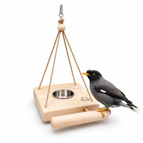 W432 戶外餵鳥器/開放式木屋 野鳥餵食器 飼料盒 鳥用品