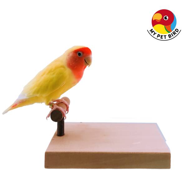 MY PET BIRD 南洋檜木站台 鸚鵡站台
鸚鵡活動台
鳥類休息台
寵物休息訓練架
可調節高度鳥類休息台
天然木鳥類站立架
無毒寵物訓練玩具
多功能鸚鵡訓練用品
適合鸚鵡休息和站立練習的玩具