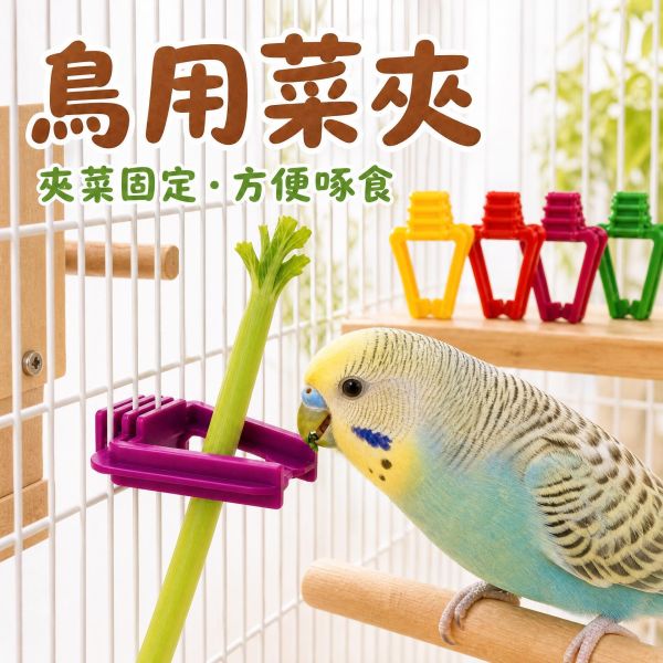 Z070 鳥用蔬菜夾/水果夾 寵物防翻菜籃 適用文鳥/虎皮/兔鼠小寵 鳥用蔬菜夾, 鸚鵡水果夾, 寵物菜籃, 寵物防翻食籃, 鳥籠配件, 鳥籠蔬菜夾, 文鳥點心夾, 鸚鵡餵食神器, 倉鼠蔬菜夾, 兔子草架夾