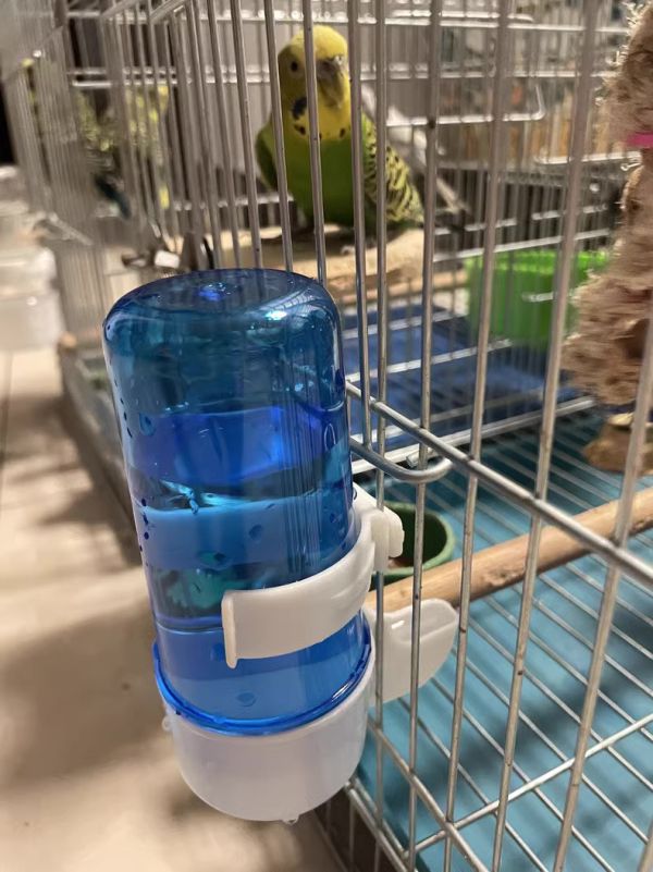 MY PET BIRD 質優飲水器 鸚鵡飲水器
高品質鸚鵡飲水器
安全健康的鸚鵡飲水設備
飲水器適合鸚鵡使用
鸚鵡專用飲水設備
提供乾淨飲水的鸚鵡飲水器
鸚鵡飲水器推薦
環保節能的鸚鵡飲水設備
鸚鵡飲水器品牌比較
保護鸚鵡健康的飲水選擇