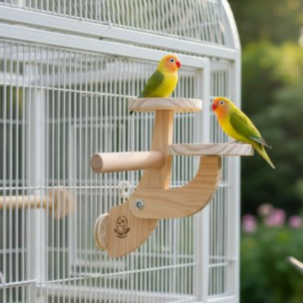 W791鸚鵡二階梯站台 立體攀爬解悶玩具 鸚鵡站台
鸚鵡活動台
鳥類休息台
寵物休息訓練架
可調節高度鳥類休息台
天然木鳥類站立架
無毒寵物訓練玩具
多功能鸚鵡訓練用品
適合鸚鵡休息和站立練習的玩具