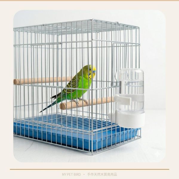 Z015 質優飲水器 鸚鵡飲水器
高品質鸚鵡飲水器
安全健康的鸚鵡飲水設備
飲水器適合鸚鵡使用
鸚鵡專用飲水設備
提供乾淨飲水的鸚鵡飲水器
鸚鵡飲水器推薦
環保節能的鸚鵡飲水設備
鸚鵡飲水器品牌比較
保護鸚鵡健康的飲水選擇