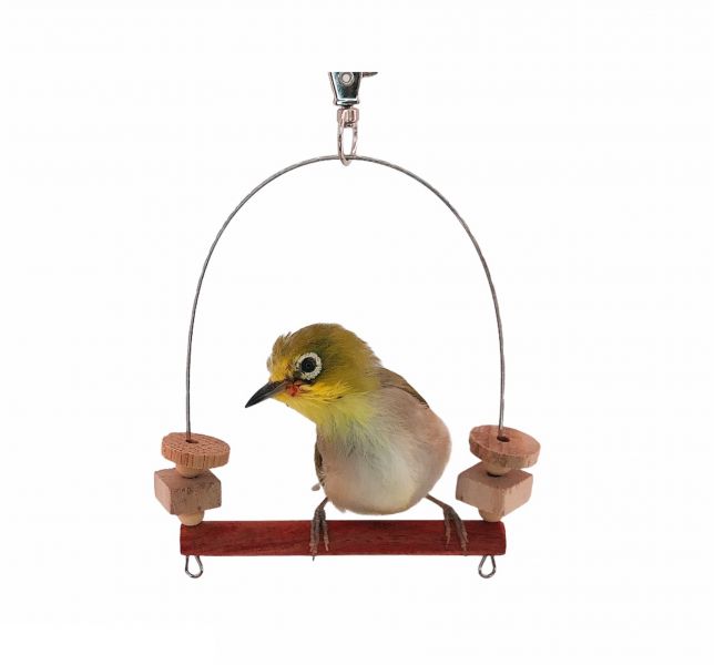 MY PET BIRD  迷你鞦韆設計綠繡眼專用｜簡潔時尚的不銹鋼支撐 文鳥咬串 鸚鵡玩具綠繡眼、迷你鞦韆、不銹鋼支撐、時尚設計、咬物選擇、寵物鳥娛樂