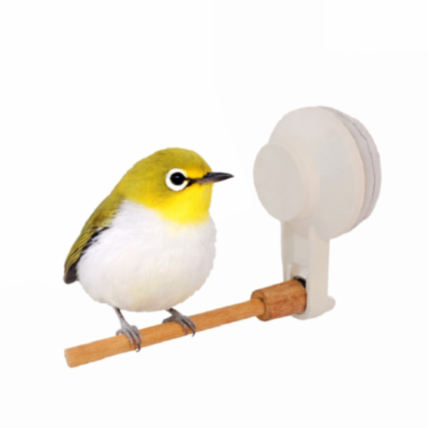 車用站架 綠繡眼用 吸盤式鳥站棍
鳥類活動站棍
吸盤式鳥類觀察器材
室內鳥類站棍
室外鳥類站棍
適用於鳥類的吸盤站棍