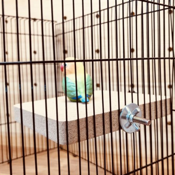 W790 軟木站台：是休息小天地，更是紓壓啃咬玩具 鸚鵡玩具、鳥玩具、小鳥玩具
鸚鵡站台、鳥站台、鸚鵡站板
軟木站台、軟木玩具、軟木塞玩具
磨嘴玩具、啃咬玩具解悶神器：解悶、自嗨、防拔毛、舒緩壓力、消耗體力。

磨喙修整：磨嘴、磨爪、修嘴、天然磨牙。
安全材質：天然木、無毒、安全啃咬、柔軟觸感。
益智開發：益智玩具、互動玩具、攀爬架、籠內造景。