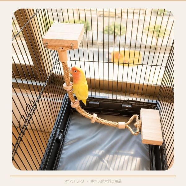 W721 空中纜繩 鸚鵡站台
鸚鵡活動台
鳥類休息台
寵物休息訓練架
可調節高度鳥類休息台
天然木鳥類站立架
無毒寵物訓練玩具
多功能鸚鵡訓練用品
適合鸚鵡休息和站立練習的玩具