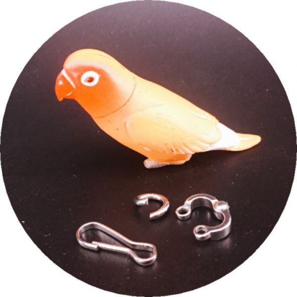 MY PET BIRD 鸚鵡外出繩 /腳環 鸚鵡腳環
鸚鵡識別環
鸚鵡配戴腳環
個性化鸚鵡腳環
鸚鵡保護環
鸚鵡識別工具
鸚鵡腳環配件
鸚鵡識別標記
鸚鵡腳環尺寸調節
鸚鵡腳環購買