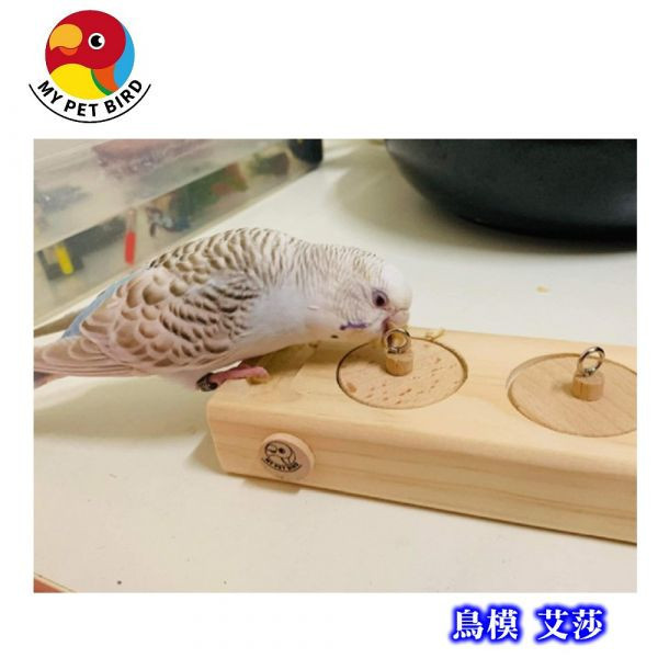 MY PET BIRD  覓食樂趣性益智玩具 天然原木互動玩具
鸚鵡訓練益智玩具
鸚鵡互動方式
建立親密關係鸚鵡
促進身心健康鳥玩具
鸚鵡互動玩具選擇
互動式鸚鵡玩具
提供挑戰性鳥玩具
鸚鵡身心健康訓練
正向強化鸚鵡訓練方法