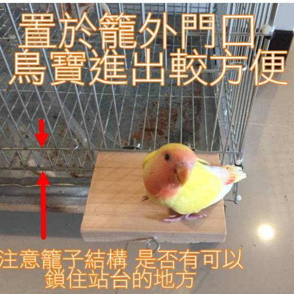 MY PET BIRD 入門款鸚鵡站台 鸚鵡站台
鸚鵡活動台
鳥類休息台
寵物休息訓練架
可調節高度鳥類休息台
天然木鳥類站立架
無毒寵物訓練玩具
多功能鸚鵡訓練用品
適合鸚鵡休息和站立練習的玩具