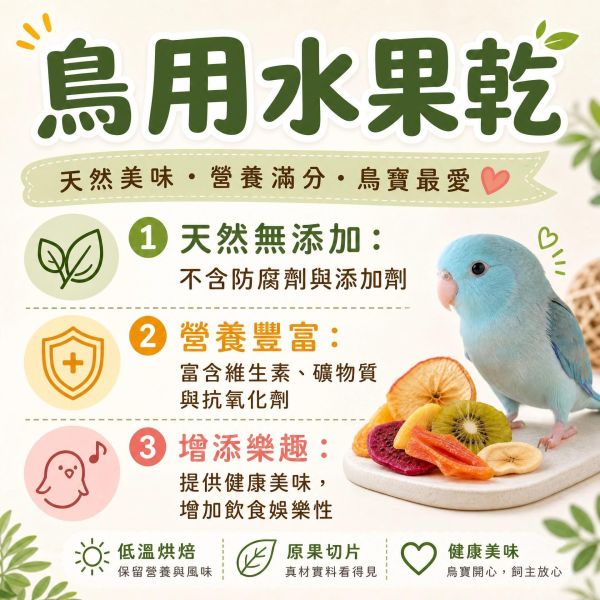 MY PET BIRD 小鸚鵡辣椒乾|迷你果乾 文鳥 小鸚 牡丹 白頭翁 麻雀 虎皮 太平洋 玄鳳 小太陽 金太陽 和尚 
鸚鵡玩具 寵物文創 鳥玩具