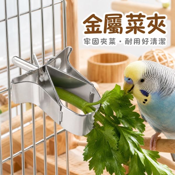 Z010 寵物蔬菜夾｜鳥籠青菜蔬果固定夾/金屬塑料兩款 寵物蔬菜夾
蔬菜夾寵物用品
鳥籠蔬菜夾
寵物飲食器具
不銹鋼蔬菜夾
寵物餵食工具
健康蔬菜夾
寵物飲食配件
鳥類蔬菜夾
寵物飲食解決方案