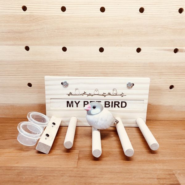 W758M   無障礙的愛心呵護 鳥類用品
殘疾鳥站架
鳥友用品
活動食盒
鳥類飼料器
鳥寶站立器
專業鳥類配件
人性化鳥類用品
穩固支撐站架
無障礙鳥類用品
鳥類健康產品
鳥類飲水器
鳥類玩具
輕鬆移動鳥站架
鳥類訓練用品