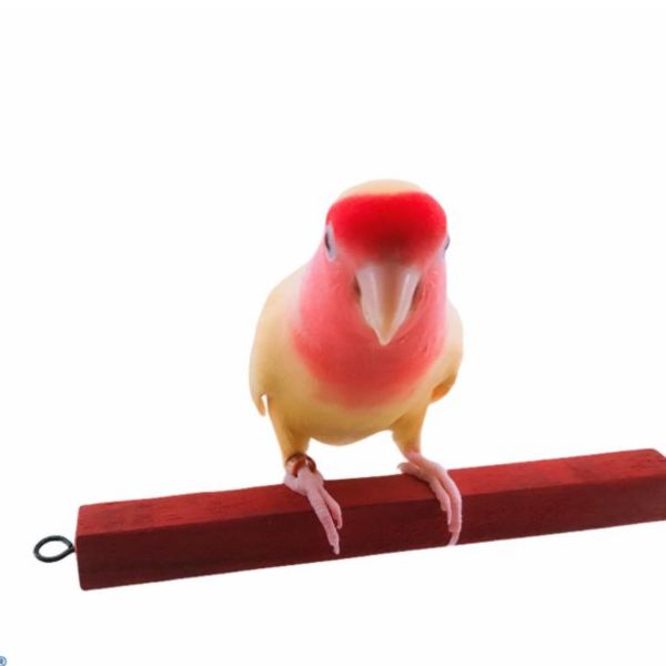 MY PET BIRD 紅花梨方棍鳥站棍 寵物文創,鳥玩具,鸚鵡玩具,文鳥,玄鳳,和尚,虎皮,綠繡眼,凱克,寵物用品,寵物玩具,咬物