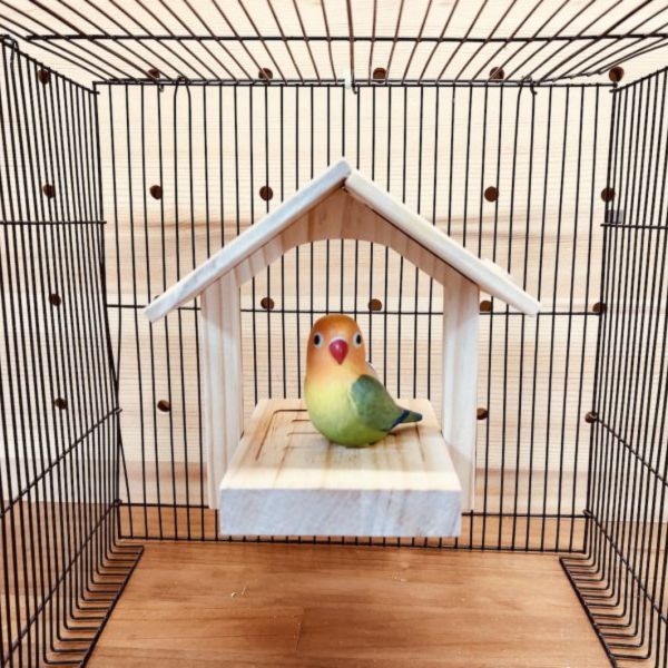 MY PET BIRD 泰式涼亭小木屋/鳥窩 鳥用木窩
鳥居住用品
鳥類寄宿舍
天然木質鳥窩
鳥類棲息場所
無毒環保鳥窩
適合鳥類棲息的木製窩
室內外鳥類居住用品
手工製作鳥窩
鳥類庇護所