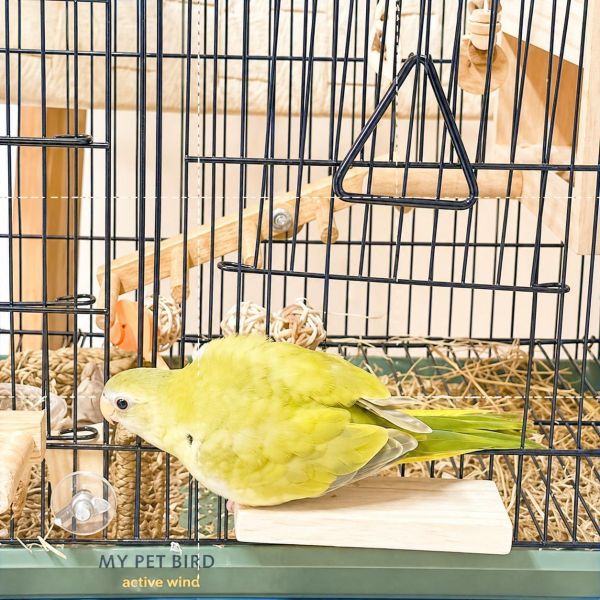 W766 鳥籠門前便利小站台/ 簡單便宜又實用讓鳥寶出入鳥籠更方便 鳥籠
鳥寶
鳥籠站台
小鳥配件
鳥籠附件
鳥籠設備
鳥類用品
鳥籠配件
鳥類生活用品
鳥籠出入口
鳥籠進出口
鳥籠設計
寵鳥用品
鳥類飼養用品
鳥籠周邊商品
鳥類用具
鳥籠實用工具
鳥籠便利小物
鳥籠周邊產品
鳥寶生活配件