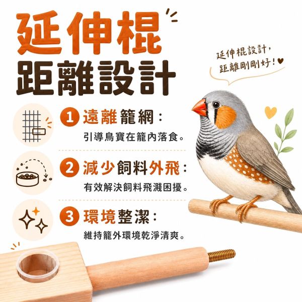 W369A 綠繡眼三分裝食物架 綠繡眼、三分裝食物架、南洋檜木、功能性、均衡飲食、食材分配、迷你量杯、木質紋理、清晰美觀、鞍木、視覺滿足、高品質材料、設計優雅