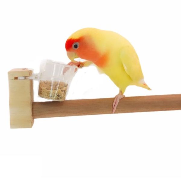 MY PET BIRD  中置食盒延伸站棍 寵物文創,鳥玩具,鸚鵡玩具,文鳥,玄鳳,和尚,虎皮,綠繡眼,凱克,寵物用品,寵物玩具,咬物