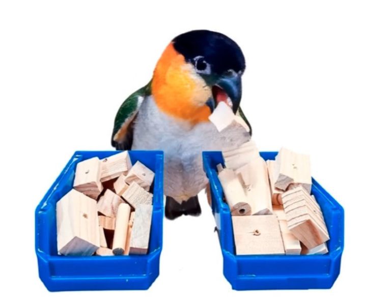 w099 原木的邊角料｜中型鸚鵡啃咬木塊 鸚鵡 啃木

鳥 玩具 DIY

天然 木塊

鸚鵡 玩具

邊角料