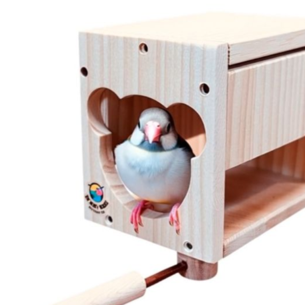 W474 小熊造型 / 鸚鵡小木屋 鳥用木窩
鳥居住用品
鳥類寄宿舍
天然木質鳥窩
鳥類棲息場所
無毒環保鳥窩
適合鳥類棲息的木製窩
室內外鳥類居住用品
手工製作鳥窩
鳥類庇護所