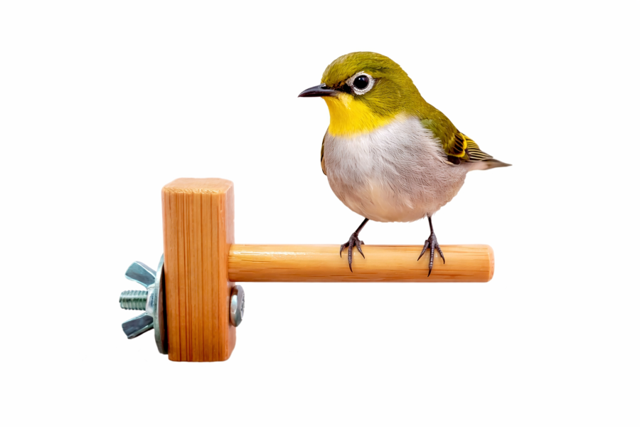 MY PET BIRD 迷你竹站棍 綠繡眼訓練工具
竹質站棍
小腳訓練器材
直徑10mm竹棍
平衡訓練工具
鳥兒站棍模擬
樹枝晃動感覺
綠繡眼運動訓練器具
綠繡眼腳部力量訓練
竹製訓練棍具