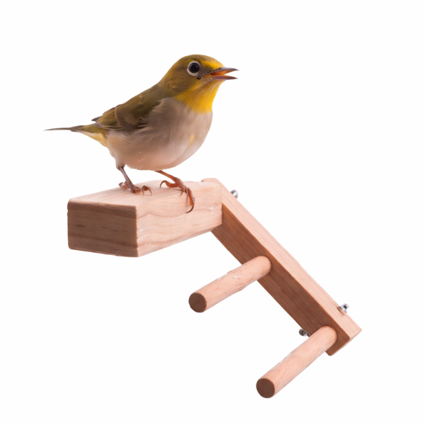 MY PET BIRD 提升綠繡眼鳥籠體驗！創意無限的雙向梯產品 鳥用梯子
小型鳥用梯子
鳥類攀爬梯
鳥籠玩具
天然竹製鳥用梯子
鳥類運動訓練用品
安全可靠鳥用梯子
易於安裝的鳥用梯子
適用於不同大小的鳥籠
高品質鳥用梯子