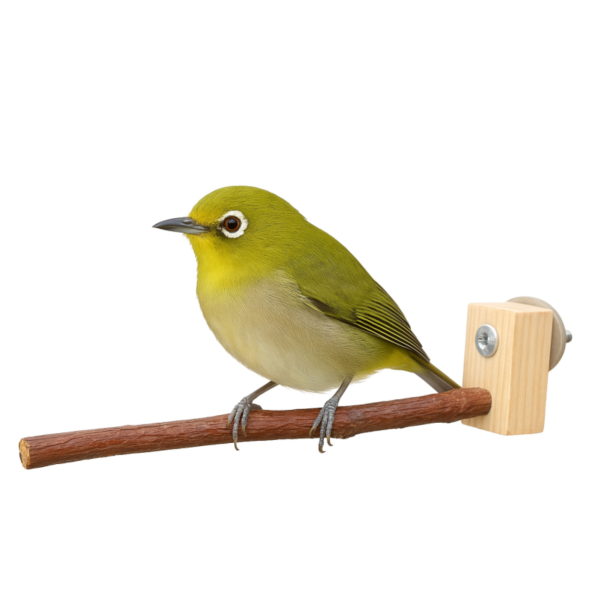 MY PET BIRD 綠繡眼原生木站棍 綠繡眼站台 bird perch stand
綠繡眼站架 Bird stand
綠繡眼站棍　Bird Perch
綠繡眼遊樂場 Bird Playground
綠繡眼鳥玩具 Parrot toys
綠繡眼鳥用品 bird products
綠繡眼攀爬繩 Climbing rope
綠繡眼梯子 ladder
