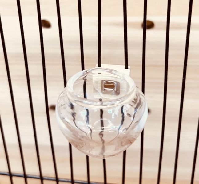 Z057A 高透光玻璃食皿 鸚鵡飲水器
高品質鸚鵡飲水器
安全健康的鸚鵡飲水設備
飲水器適合鸚鵡使用
鸚鵡專用飲水設備
提供乾淨飲水的鸚鵡飲水器
鸚鵡飲水器推薦
環保節能的鸚鵡飲水設備
鸚鵡飲水器品牌比較
保護鸚鵡健康的飲水選擇