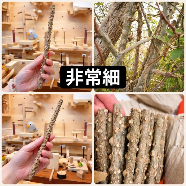 W844  綠繡眼花椒木站棍 極細 綠繡眼站台 bird perch stand
綠繡眼站架 Bird stand
綠繡眼站棍　Bird Perch
綠繡眼遊樂場 Bird Playground
綠繡眼鳥玩具 Parrot toys
綠繡眼鳥用品 bird products
綠繡眼攀爬繩 Climbing rope
綠繡眼梯子 ladder