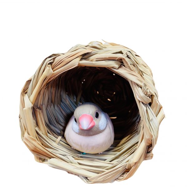 天然草窩 草編窩 鳥巢 /文鳥窩/無棉繩鳥窩 草窩
鸚鵡玩具 寵物文創 鳥玩具
