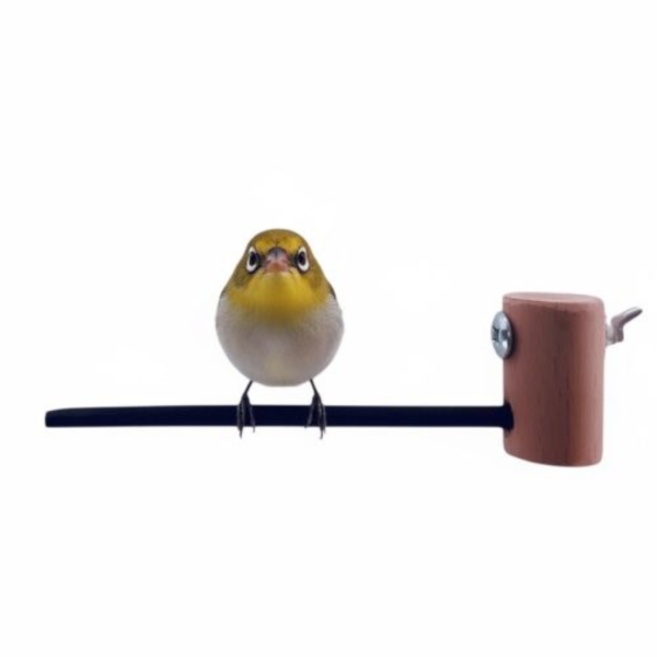 W835A  綠繡眼紫光檀木站棍 鳥類站立架
寵物站立訓練器材
鸚鵡活動訓練棒
可調節高度鳥類站立器材
天然木鳥類站立架
無毒寵物訓練玩具
多功能鸚鵡訓練用品
適合鸚鵡站立練習的玩具