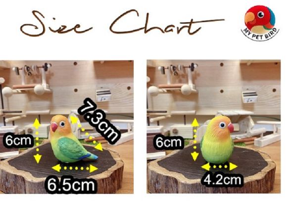 MY PET BIRD 專為鸚鵡設計的壁掛式多功能娛樂空間 壁掛式鸚鵡遊樂場
鸚鵡壁掛式娛樂空間
多功能壁掛鸚鵡遊戲台
鸚鵡壁掛式爬行設施
節省空間的壁掛鸚鵡遊樂設備
壁掛式鸚鵡咬物和休息場所
安全耐用的壁掛式鸚鵡遊樂場
鸚鵡壁掛式娛樂設施
美觀實用的壁掛鸚鵡遊樂器具
高品質壁掛式鸚鵡遊戲設