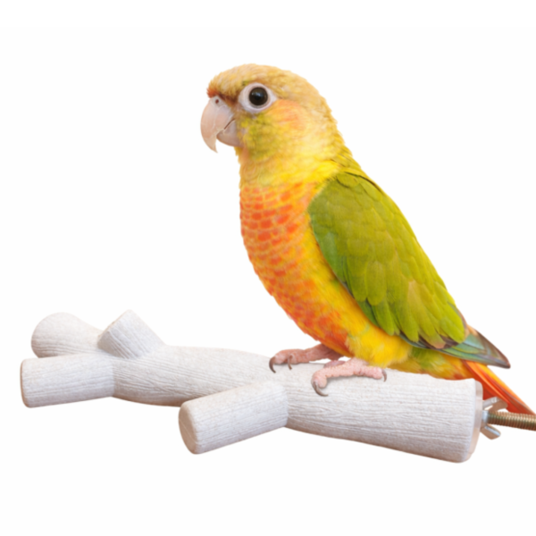 MY PET BIRD 鸚鵡啃咬玉米桿站棍 寵物文創,鳥玩具,鸚鵡玩具,文鳥,玄鳳,和尚,虎皮,綠繡眼,凱克,寵物用品,寵物玩具,咬物