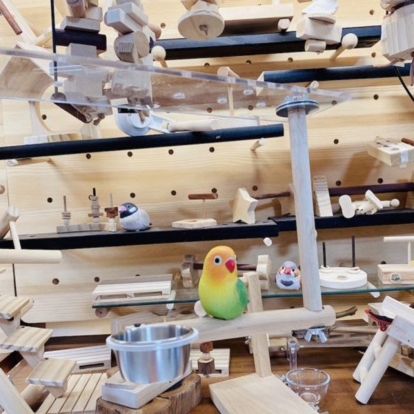 MY PET BIRD 彩翼餐樂架／中型鸚鵡 鹦鹉站架
鹦鹉架
鹦鹉用品
鳥類用品
鳥類玩具
鳥類站架
寵物用品
竉物玩具
寵物訓練用品
鸚鵡訓練用品