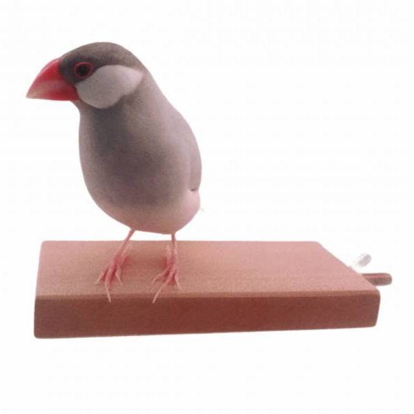 MY PET BIRD 南洋檜木站台 鹦鹉站架
鹦鹉架
鹦鹉用品
鳥類用品
鳥類玩具
鳥類站架
寵物用品
竉物玩具
寵物訓練用品
鸚鵡訓練用品