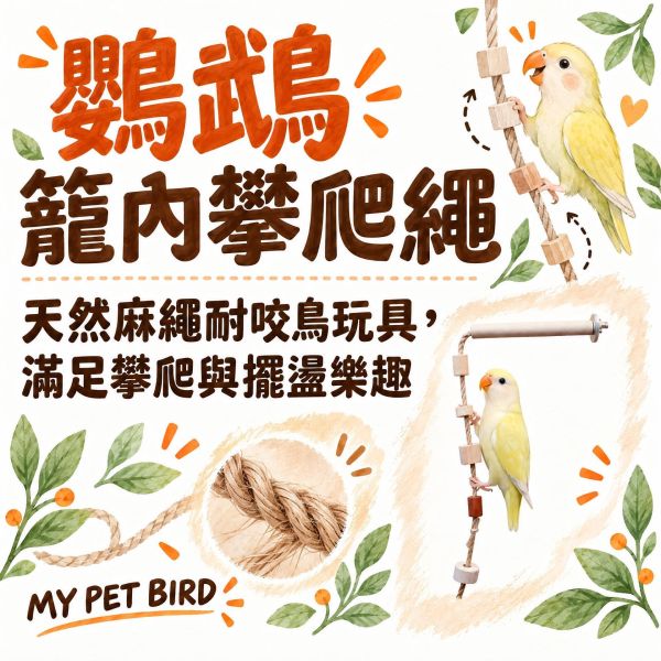 W602 鸚鵡籠內攀爬繩｜空降䌫繩 鸚鵡攀爬繩, 鸚鵡籠內玩具, 鸚鵡繩索玩具, 寵物鳥攀爬架, 鳥用麻繩, 鳥籠配件, 中小型鸚鵡玩具, 鸚鵡運動玩具, 寵物鳥運動用品, 台灣現貨鳥玩具