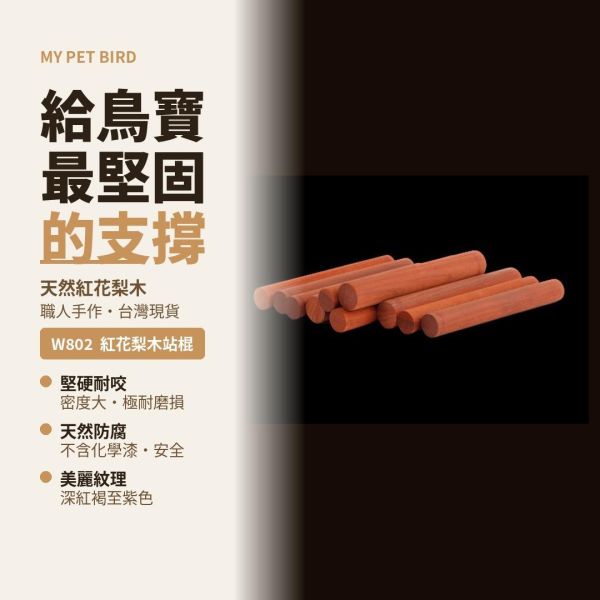 MY PET BIRD 紅花梨木站棍 鸚鵡站棍
鳥類站立架
寵物站立訓練器材
鸚鵡活動訓練棒
可調節高度鳥類站立器材
天然木鳥類站立架
無毒寵物訓練玩具
多功能鸚鵡訓練用品
適合鸚鵡站立練習的玩具